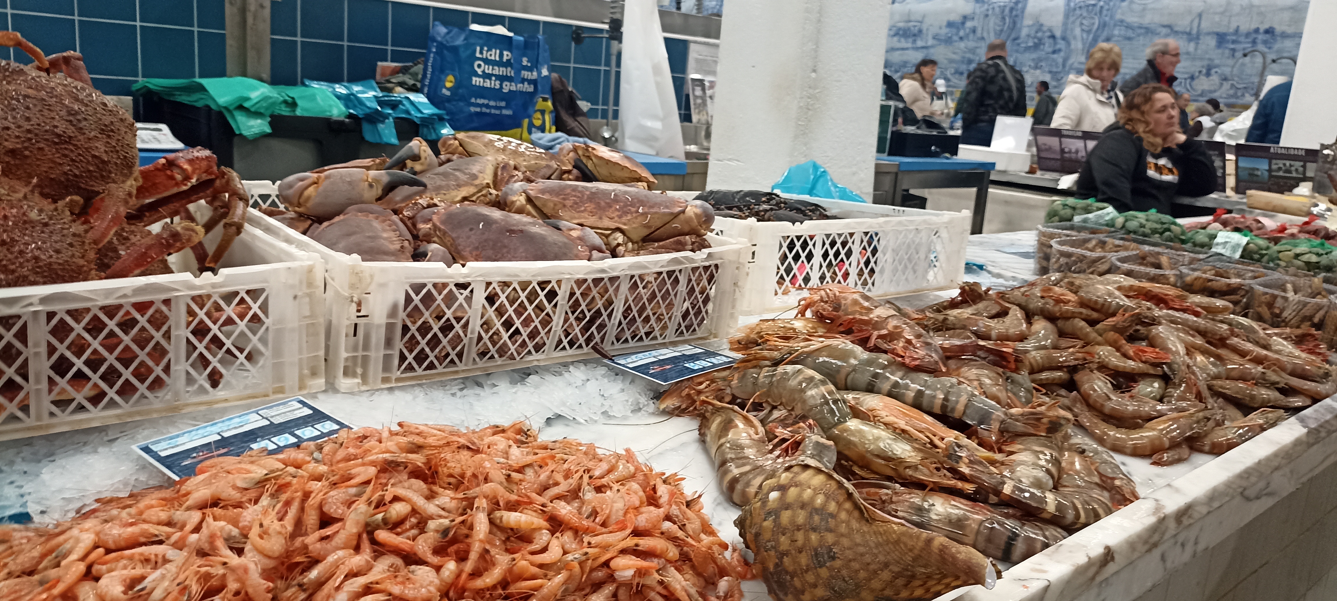 lobster, prawns, best shellfish of portugal